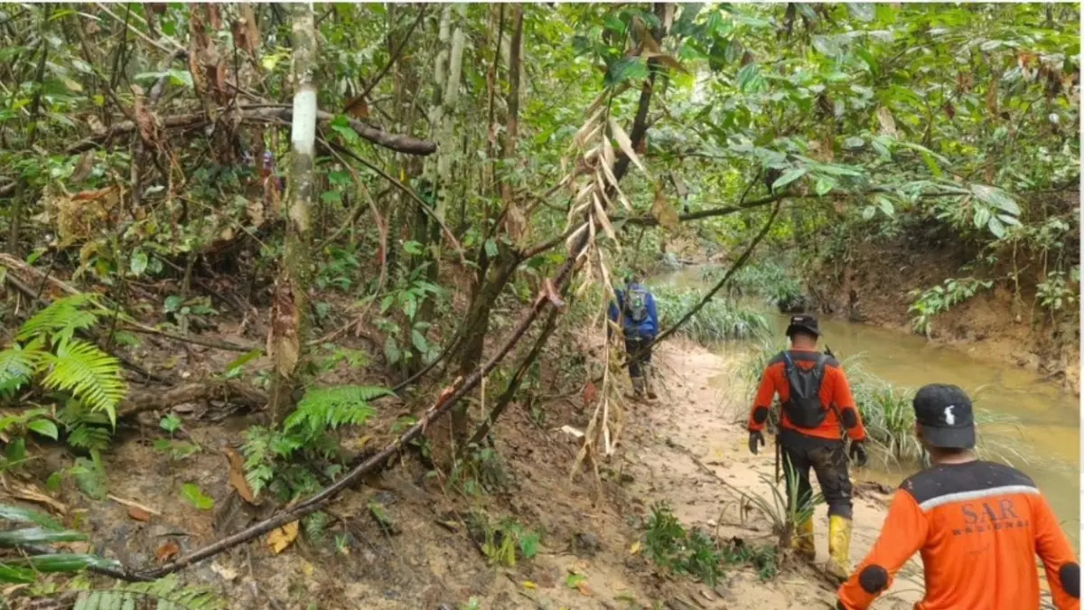 TELUSURI: Tim SAR gabungan memperluas pencarian untuk menemukan warga yang dilaporkan hilang di hutan ITCIKU Sepaku, PPU.(ist)