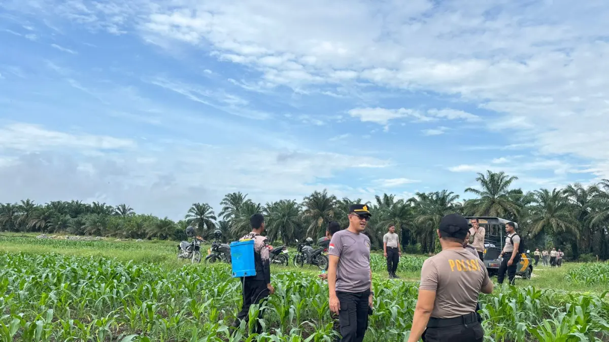 LAHAN JAGUNG: Kapolsek Babulu, PPU, Iptu Andi Fatahuddin  (dua kanan) saat  meninjau lahan jagung di wilayah kerjanya.(humas polres ppu)
