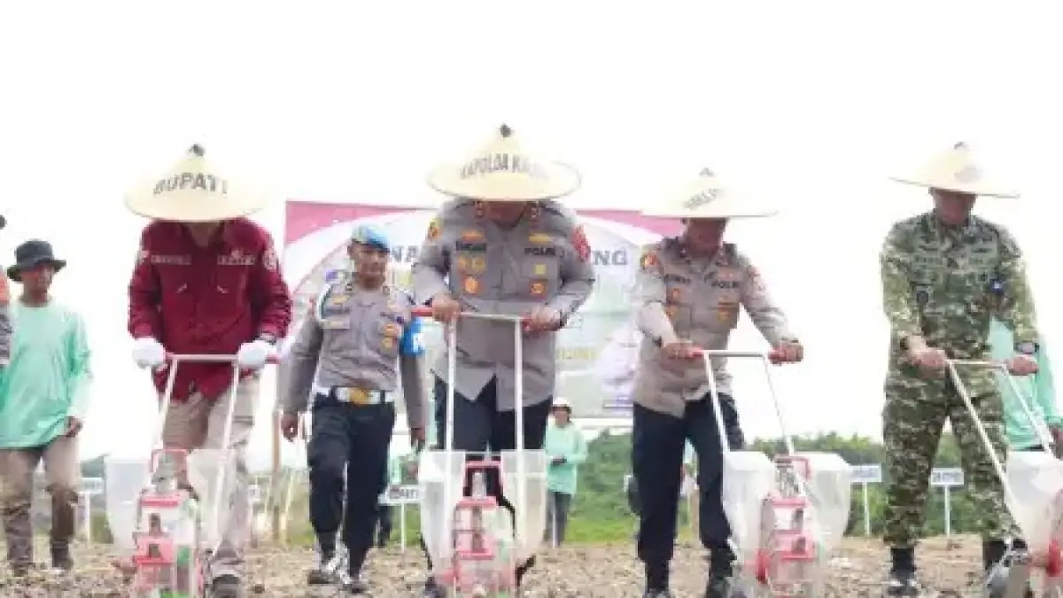 KETAHANAN PANGAN: Kapolda meninjau pengembangan pertanian jagung yang dikelola melalui kolaborasi antara Polri, pemerintah daerah, perusahaan dan masyarakat.