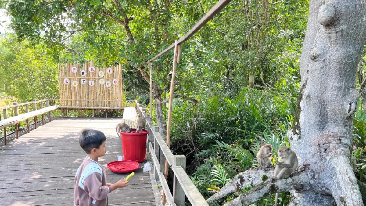Wisata Mangrove Lati Tuo Kuaro ini tiap Sabtu dan Minggu selalu ramai kunjungan sejak adanya stan kuliner. (Najib/KP)