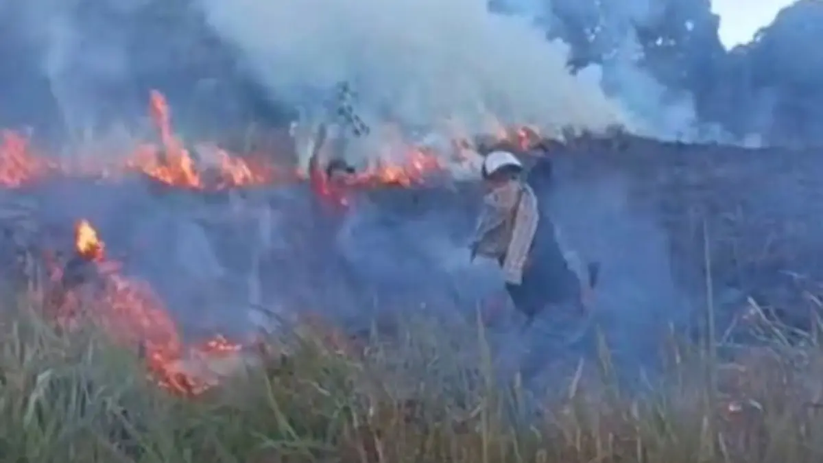 Petugas gabungan berjibaku memadamkan kobaran api yang melanda Savana Propok di kawasan Gunung Rinjani, Lombok Timur. Upaya pemadaman dilakukan secara intensif untuk mencegah api meluas ke area savana lainnya. (FOTO:  BPBD)