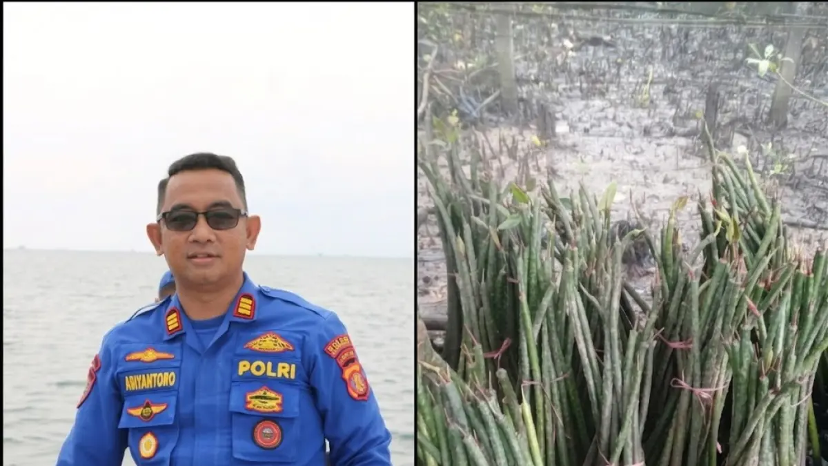 BAKAL DITANAM: Kasat Polairud Polres PPU, AKP Abiyantoro, dan bibit mangrove yang dipersiapkan untuk ditanam pada tiga wilayah pesisir di Penajam.(humas polres ppu)