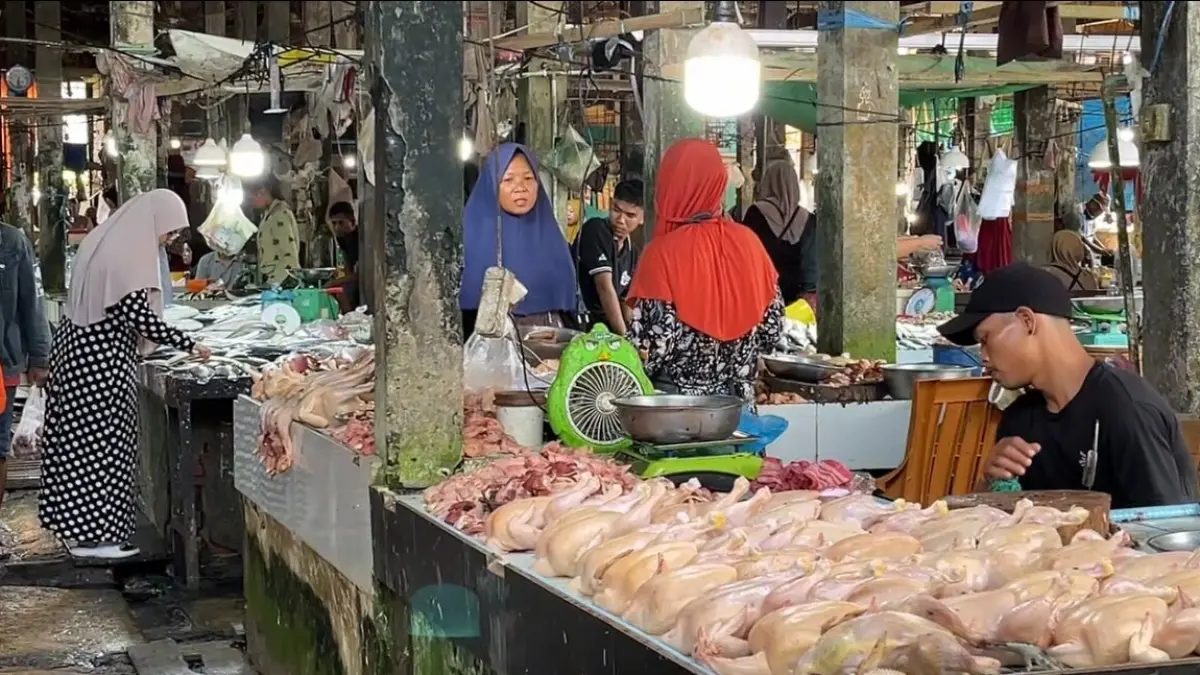 Distribusi komoditas ayam potong ke SPPG di PPU terhenti sementara akibat kebijakan BGN terkait sertifikat halal. (IST/ilustrasi)

&nbsp;