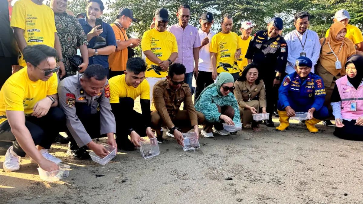 Momen pelepasan 80 ekor tukik penyu lekang di Pantai DEB Balikpapan pada momentum Hari Lingkungan Hidup Sedunia 2026, Senin (8/6).