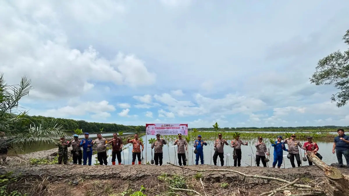 MANGROVE: Polres PPU bersama pemerintahan Kecamatan Babulu menanam pohon mangrove di pesisir Babulu Laut dalam kaitan HUT Bhayangkara ke-80 tahun 2026.(humas polres ppu)