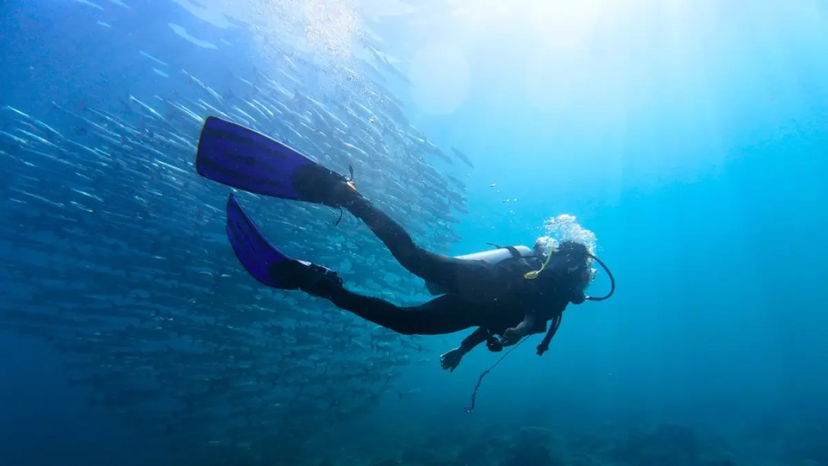 PROMOSI: Kualitas jaringan internet menjadi salah satu faktor penting bagi pelaku usaha wisata. Mengenalkan potensi wisata di pulau terluar hingga ke berbagai belahan dunia.