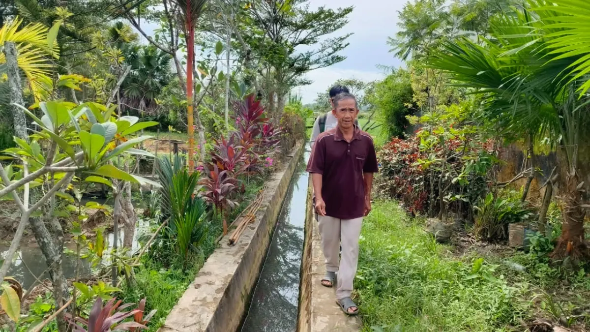 TERCEMAR: Lahan sawah warga di sekitar Lapas Narkotika Kelas IIA Samarinda tidak lagi produktif akibat aliran limbah yang mencemari area persawahan. (HAFIZ/KP)
