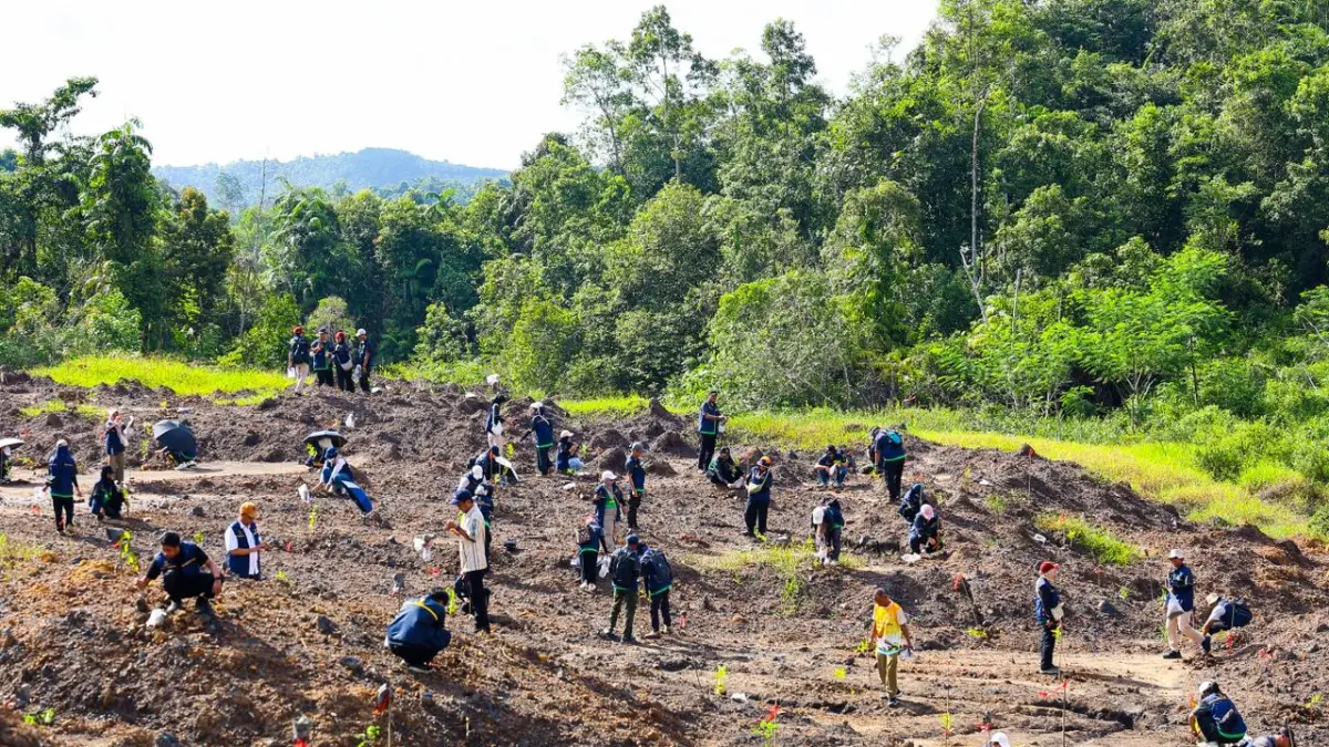 PENANAMAN: OIKN bersama lintas instansi, TNI/Polri melakukan penanaman pohon seperti belangeran, trembesi, dan tanjung di lahan bekas tambang ilegal. (HUMAS OIKN)