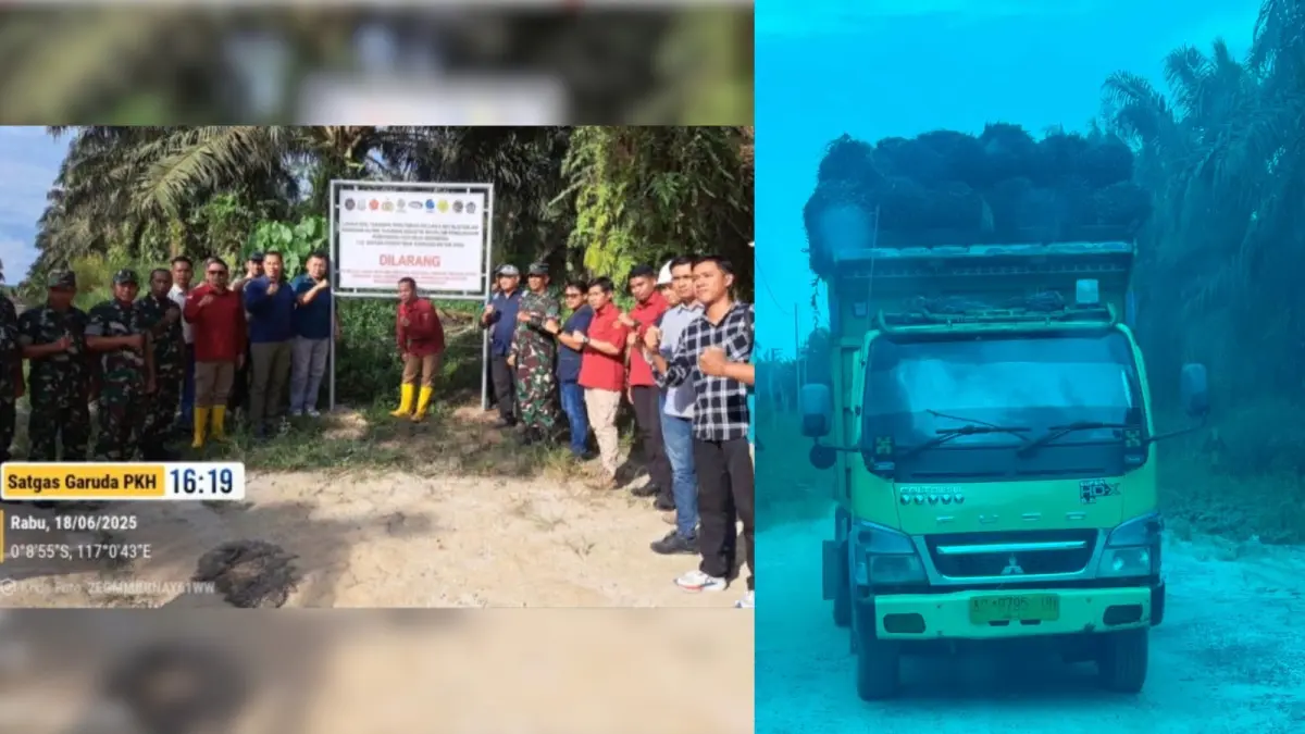 IRONI: Foto pemasangan pelang oleh Satgas PKH pada Juni 2025. Foto lain, panen sawit diduga masih dilakukan di lokasi yang sama.