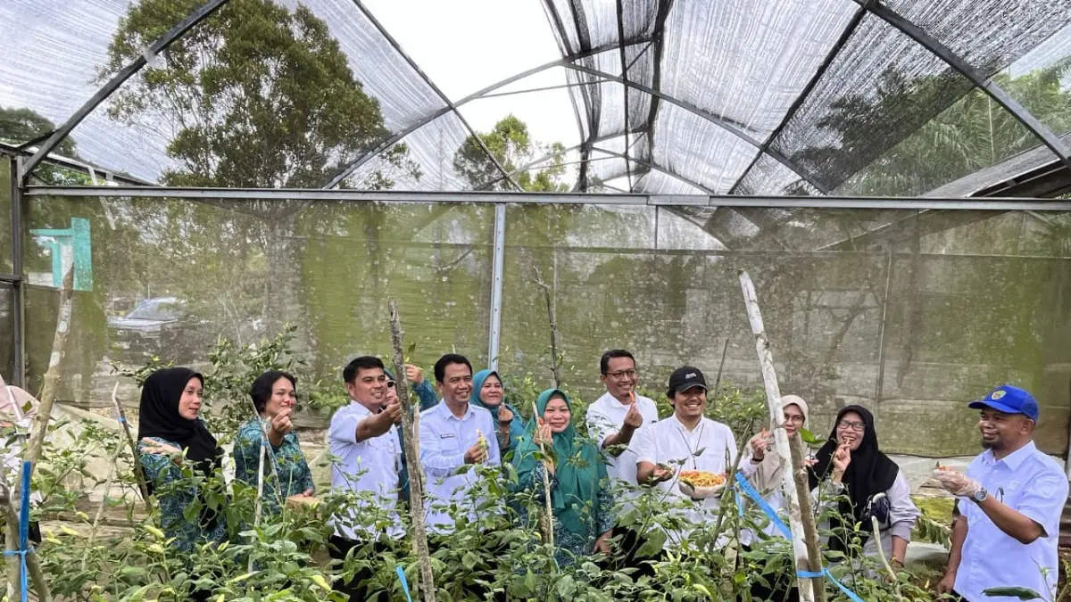 TANAM CABAI: Jajaran kepala dinas terkait dan pengurus TP PKK melakukan panen cabai bersama dalam kegiatan Gerakan Tanam Cabai bersama Tim Penggerak PKK PPU, Rabu (24/6/2026).