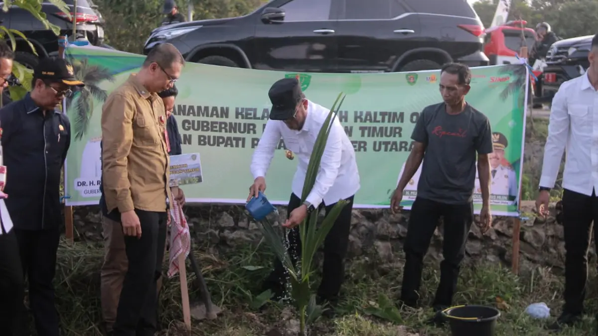 Gubernur Kalimantan Timur Rudy Mas’ud melakukan penyiraman bibit kelapa genjah usai penanaman perdana di Kabupaten Penajam Paser Utara, Rabu (24/6/2026). (AHMAD MAKI/KALTIM POST)