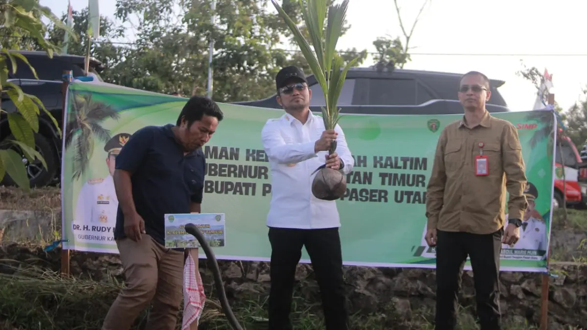 Plt Kepala Disbun Kaltim Ahmad Muzakkir mendampingi Gubernur Rudy Mas’ud saat penanaman perdana kelapa genjah di Kelurahan Nenang, PPU, Rabu (24/6/2026).