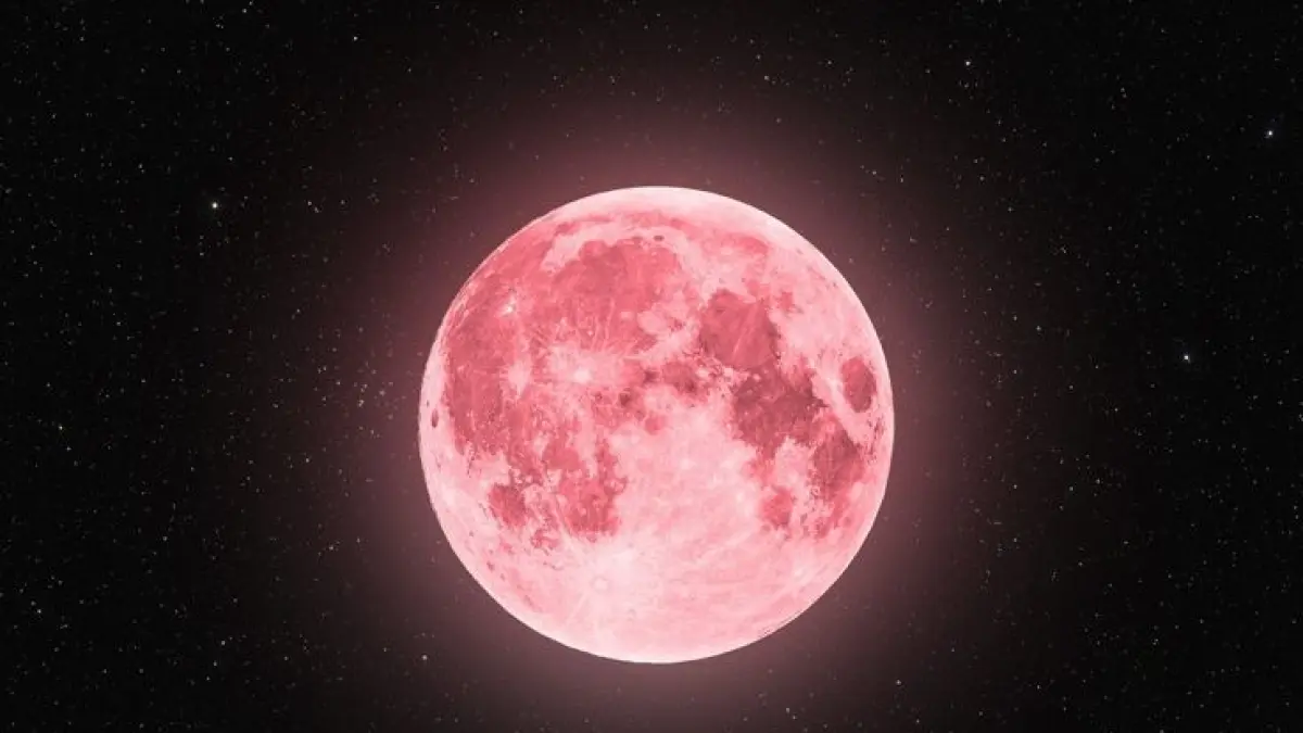 Ilustrasi strawberry moon.