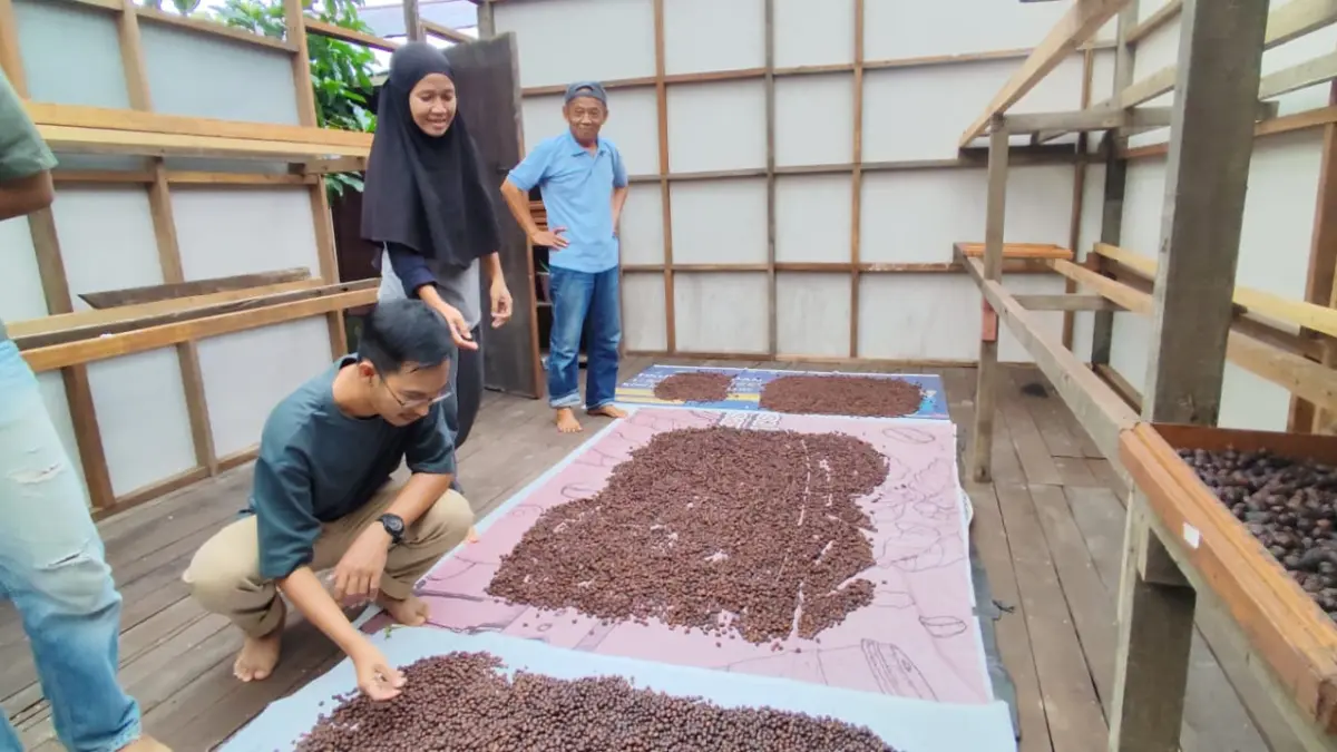 TUNJUKKAN PROSES: Slamet Prayoga (kanan) mengenalkan kepada media, proses pasca panen biji Kopi Liberika yang ditanamnya, di belakang Kedai Kopi Malabar, Jalan Slamet Riyadi Gang Al Mujahidin Kecamatan Sungai Kunjang, beberapa waktu lalu. (DENNY SAPUTRA/KP)