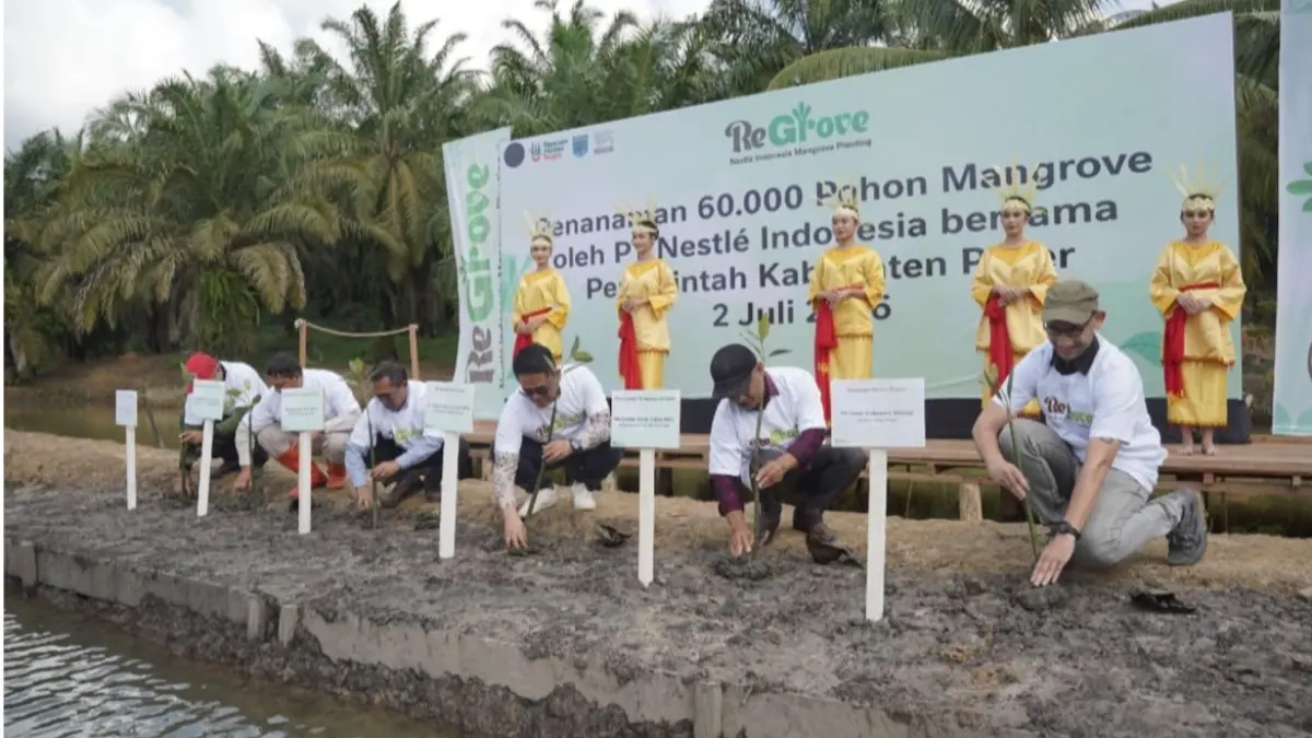 PELESTARIAN: Program menanam 60.000 pohon mangrove di Paser menjadi bagian dari komitmen PT Nestlé Indonesia memperkuat pelestarian lingkungan melalui kolaborasi berkelanjutan