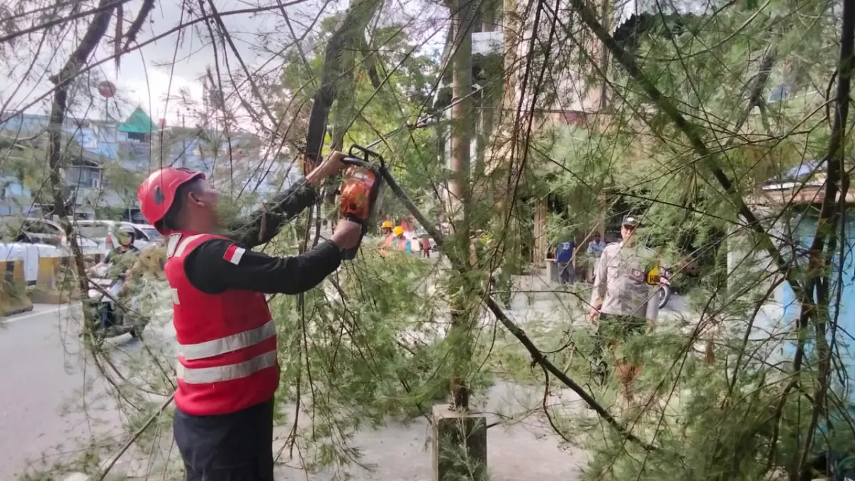 EVAKUASI: Personel Brimob Polda Kaltim bersama warga mengevakuasi pohon tumbang yang menutup badan Jalan Soekarno-Hatta, Muara Rapak, Balikpapan Utara, Senin (6/7). Proses evakuasi berlangsung cepat sehingga arus lalu lintas kembali normal.