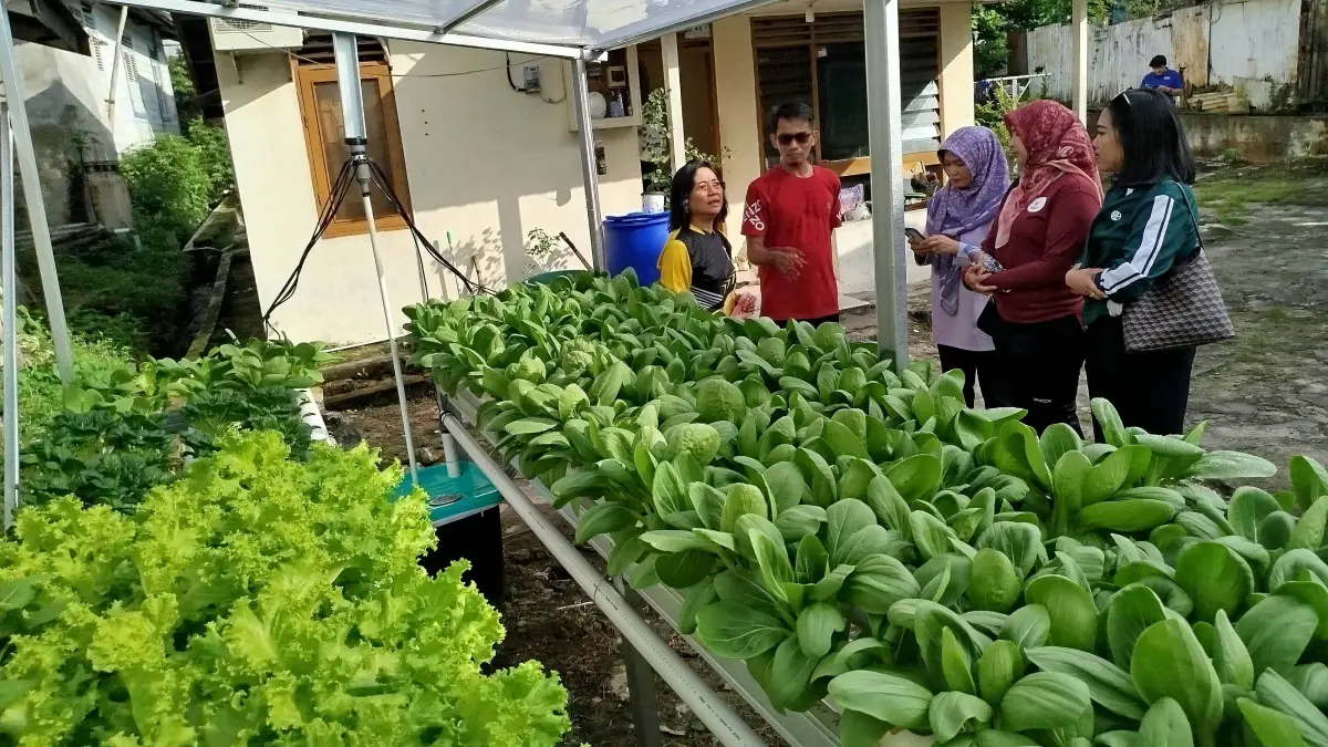 Urban farming