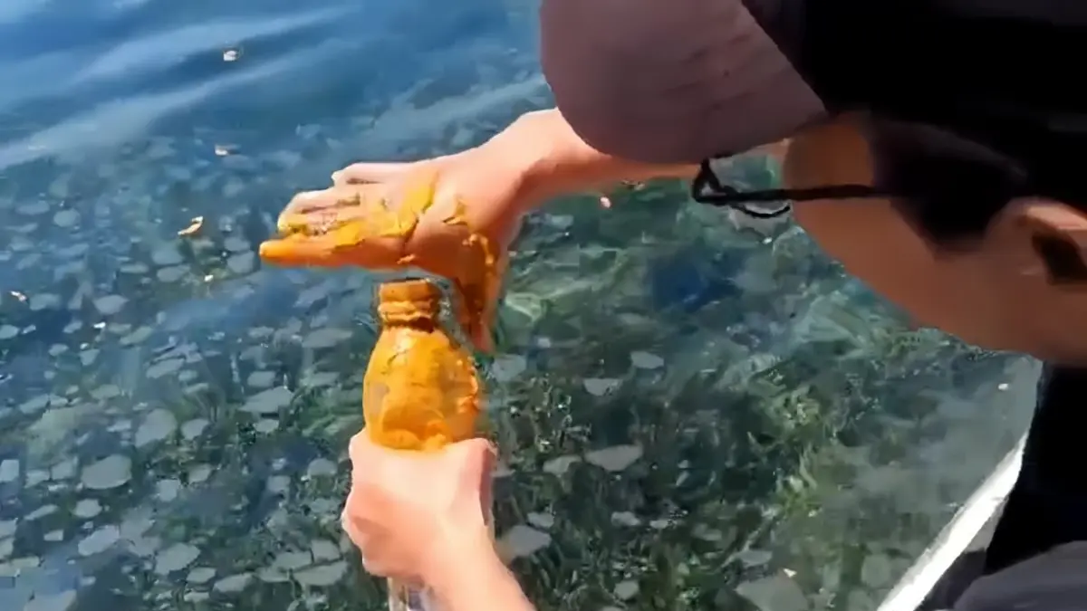 Warga mengambil sampel endapan minyak yang diduga kuat CPO mengapung di perairan Pulau Miang, Kutai Timur. (IST)

&nbsp;