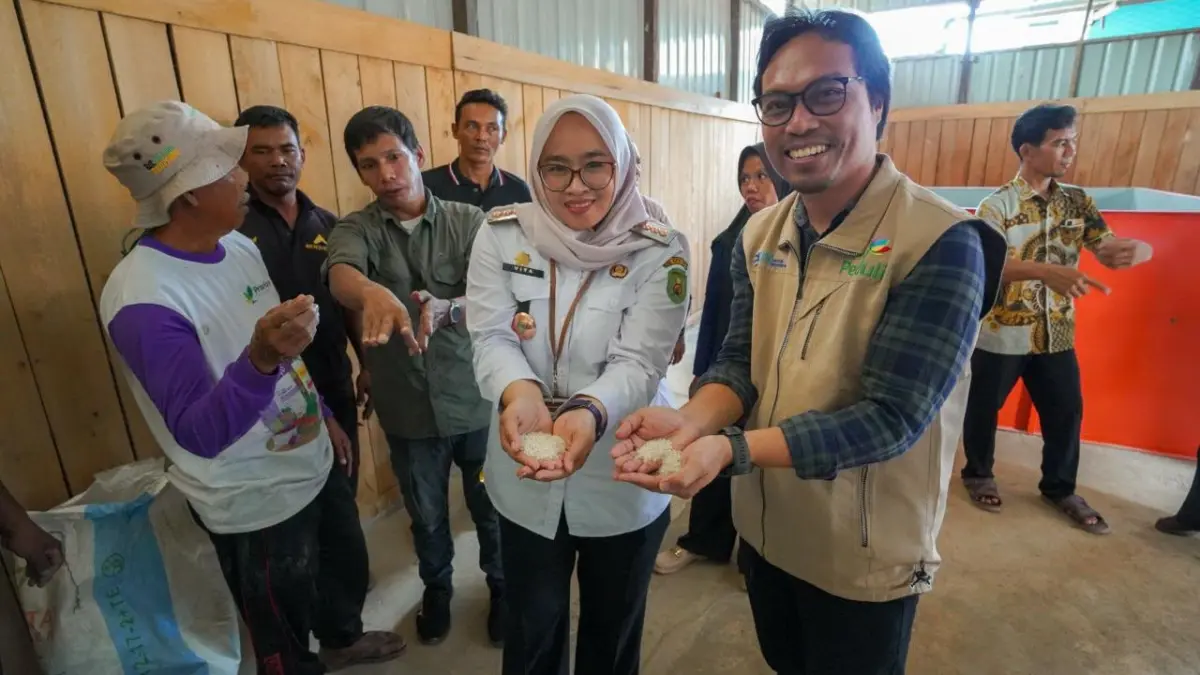 HASIL PENGOLAHAN: Manager PLN UPP KLT 2, Jefry Sambara Palelleng dan Camat Rantau Pulung Vita Nurhasanah menunjukkan hasil pengolahan padi menggunakan peralatan bantuan Program TJSL Tani Cerdas.