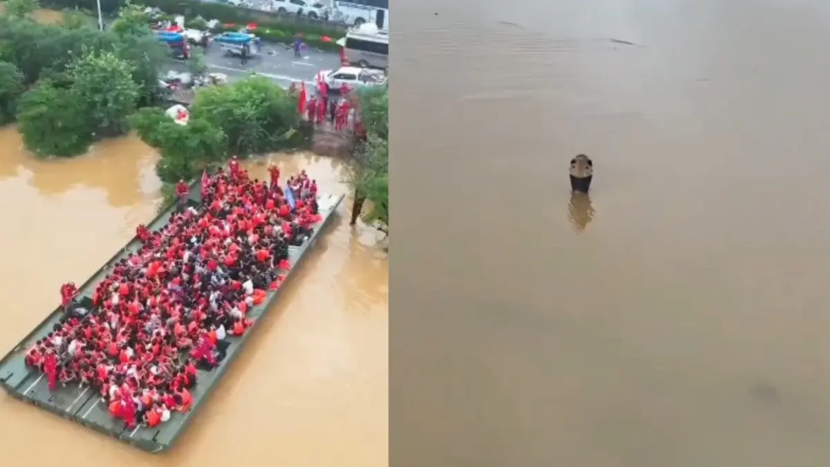 Jembatan apung yang mengevakuasi korban banjir di Guangxi, China Selatan, dan penampakan ular kobra yang lepas dari penangkaran. (SpoxCHN_LinJian/X) 