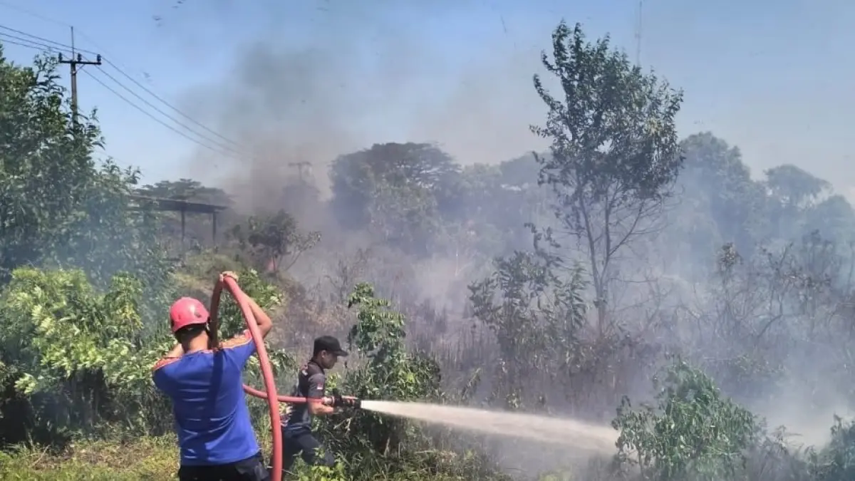 PADAMKAN API: Tampak petugas BPBD PPU bekerja keras untuk memadamkan api yang membakar lahan dan hutan di Penajam.(Dok BPBD PPU)