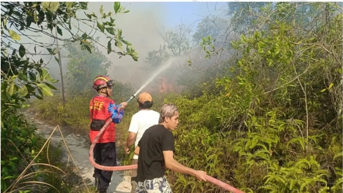 BERJIBAKU: Tim penjinak api sedang berjibaku memadamkan amukan si jago merah yang membakar lahan seluas 2 hektare lebih di PPU.(Dok.BPBD PPU)