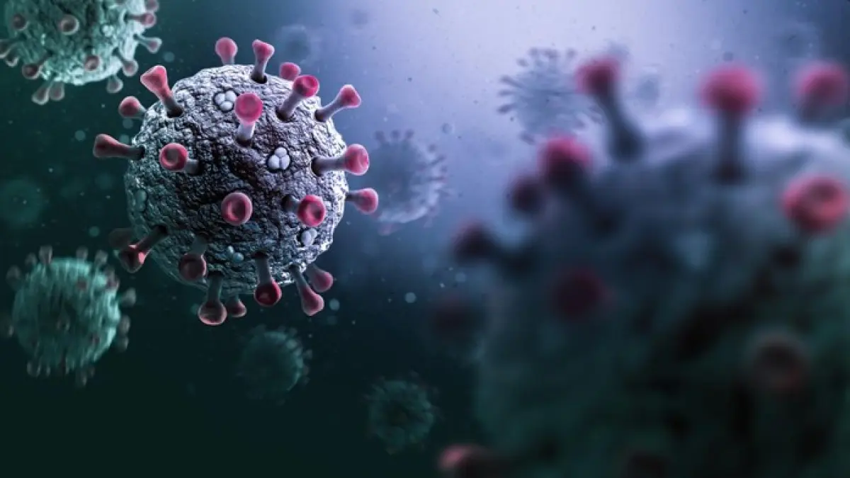 Ilustrasi virus corona.(getty images)