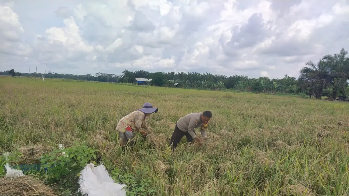 Pemkab PPU tengah mengoptimalkan penataan LBS sebagai langkah awal mempersiapkan Kawasan LP2B. (IST)
