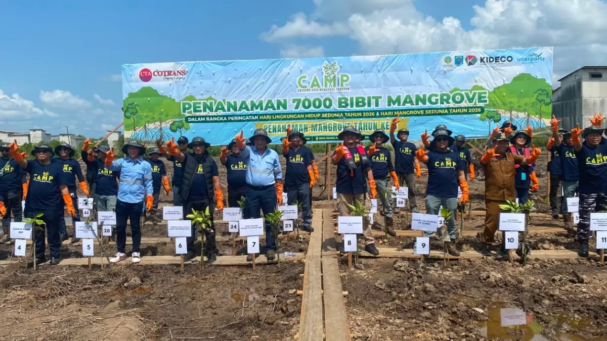PT CTA kembali melaksanakan program CAMP 2026 dengan penanaman 7.000 bibit mangrove di Desa Muara Adang Kecamatan Long Ikis, Senin (20/7). (FOTO NAJIB/KP)