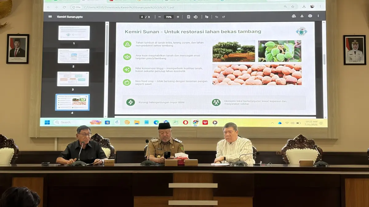 SOLUSI PASCATAMBANG: Pertemuan Pemkab Berau bersama pengusaha tambang membahas pengembangan Kemiri Sunan untuk rehabilitasi lahan bekas tambang dan pengembangan energi terbarukan. (IZZA/BP)