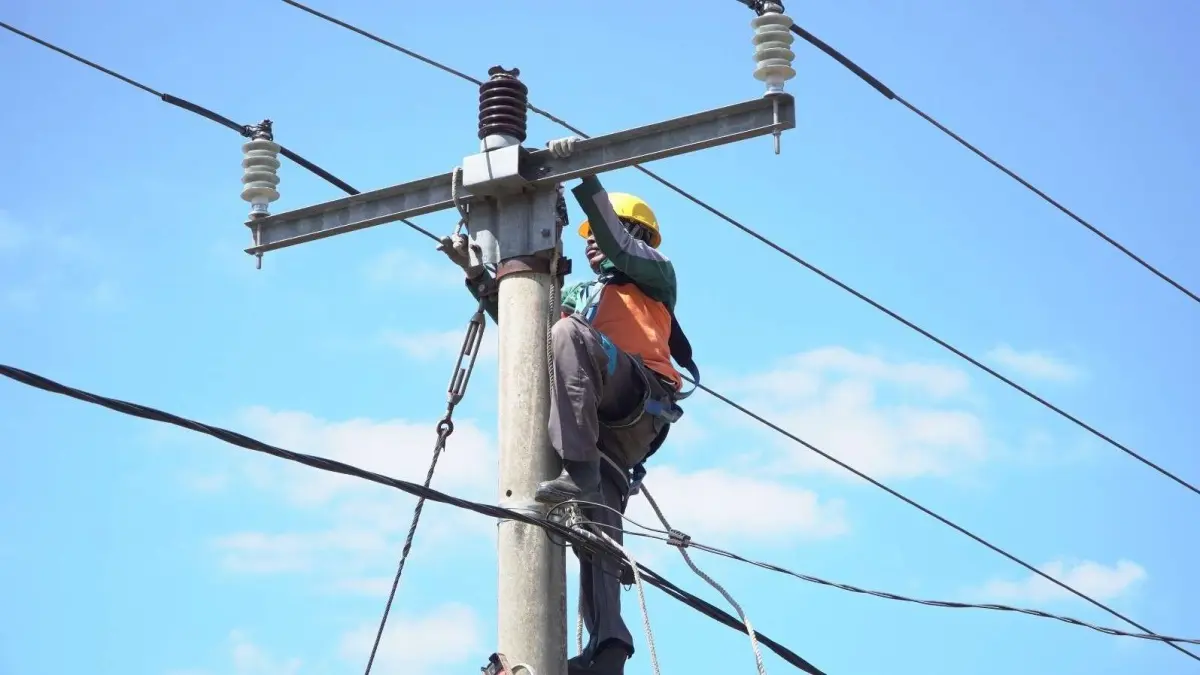 Ilustrasi petugas PLN melakukan pemeliharaan jaringan listrik di Long Ikis. (Foto: Istimewa)