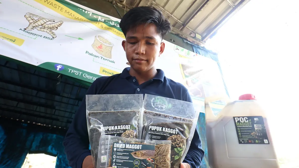 VARIATIF: Selain menjadi pakan ternak, beragam produk dapat dihasilkan dari budidaya maggot ini seperti pupuk, dried maggot, pelet ikan dan ayam dan lainnya. ANGGI/KP