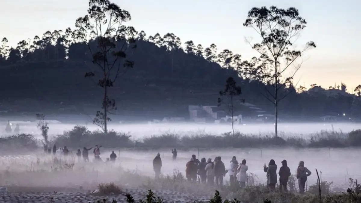 DINGIN: Suhu minus 3 derajat celsius di kawasan Gunung Dieng.(ANT)
