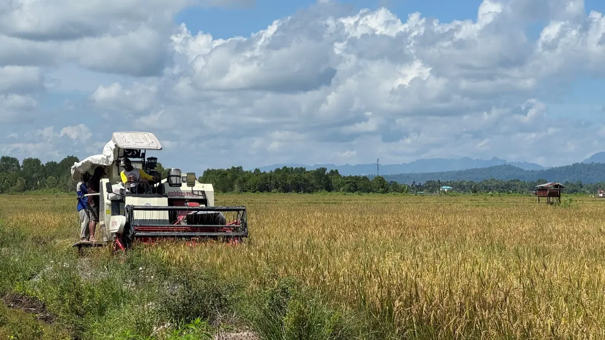 BUTUH DUKUNGAN: Untuk mendukung sektor pertanian, Berau masih membutuhkan alat dan sarana produksi seperti Combine Harvester hingga Dryer. (SENO/BP)
