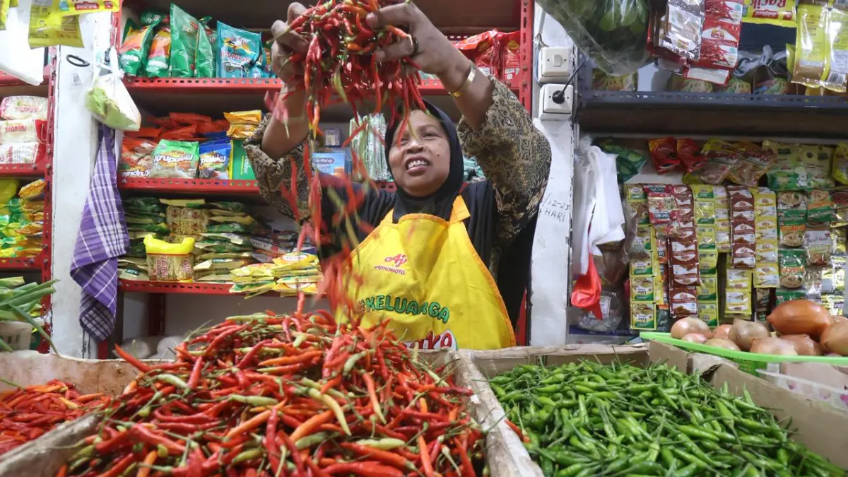 TERBESAR: Cabai rawit jadi komoditas hortikultura dengan produksi terbesar capai 7.235,81 ton. (ANGGI/KP)