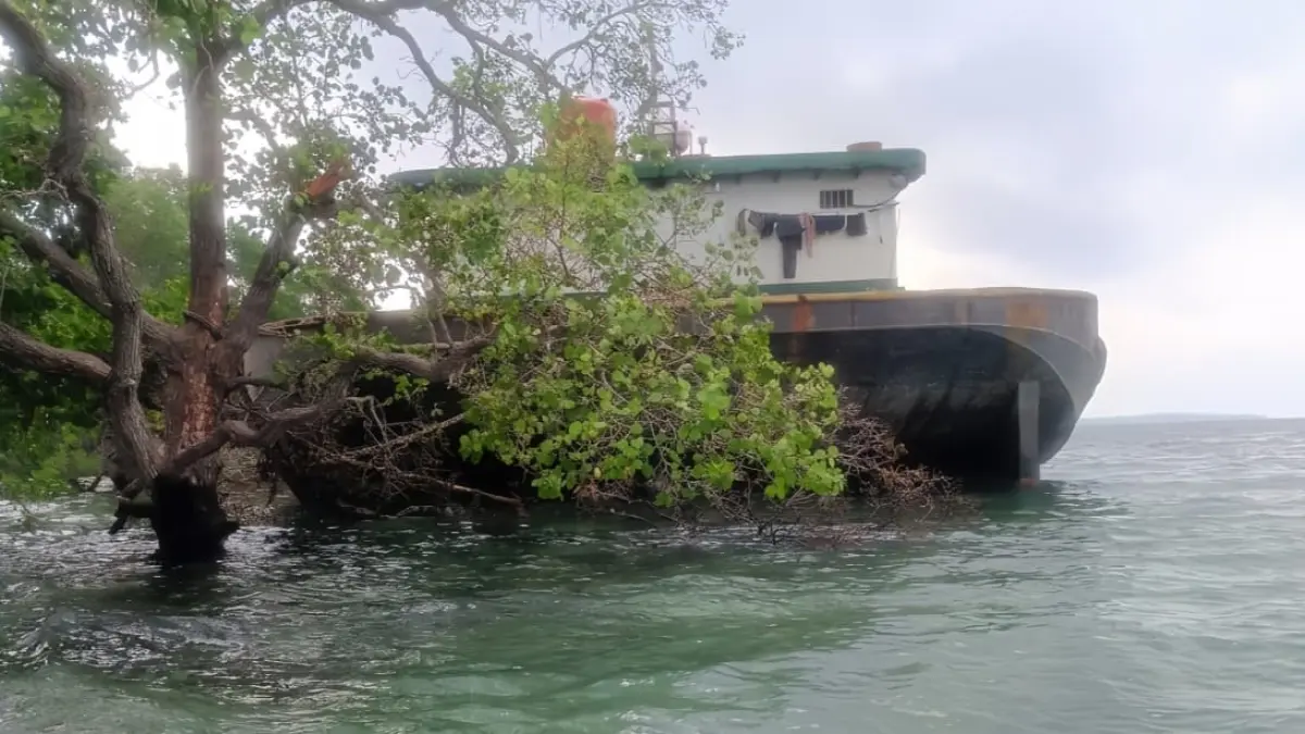 Tongkang yang terdampar di perairan Pulau Miang, Kecamatan Sangkulirang, Kutai Timur, dilaporkan warga telah berada di lokasi lebih dari 20 hari dan diduga merusak ekosistem mangrove serta terumbu karang. (IST)

&nbsp;