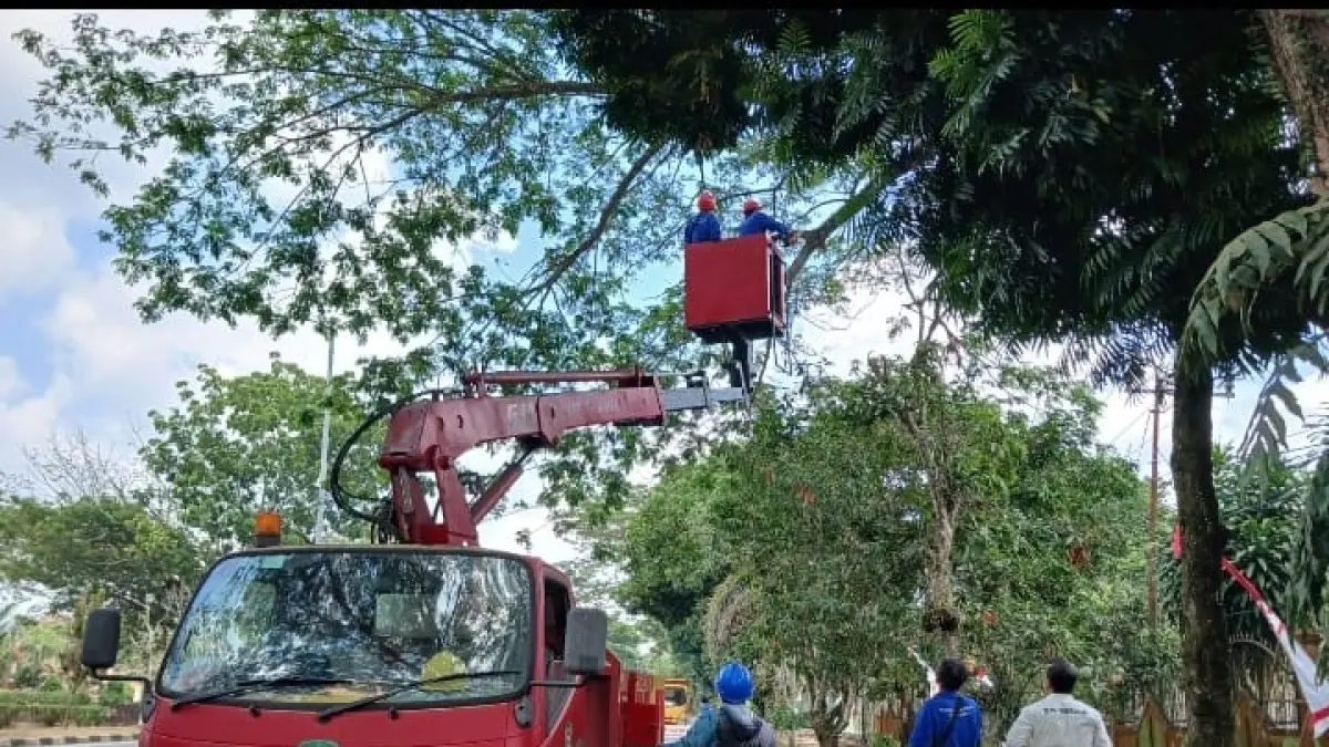 RAPI: Pemangkasan dahan pohon di sepanjang ruas jalan Melak-Barong Tongkok. 