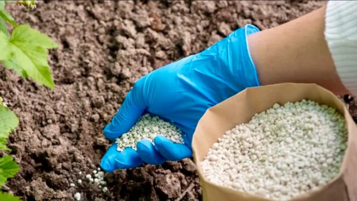 INDUSTRI: Komoditas hasil industri asli Kaltim melonjak 69,33 persen atau menjadi USD577,72 juta. Salah satunya pupuk.