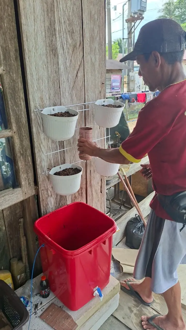 Praktik pemindahan dari tray semai ke pot vertical garden.