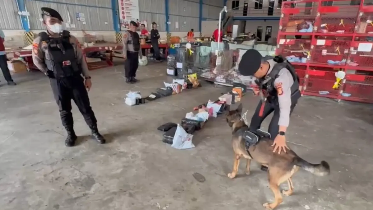 ENDUS: Tim K9 Ditsamapta Polda Kaltim dan K9 Bea Cukai bekerja memeriksa tempat penyimpanan paket di jasa pengiriman.

&nbsp;

&nbsp;