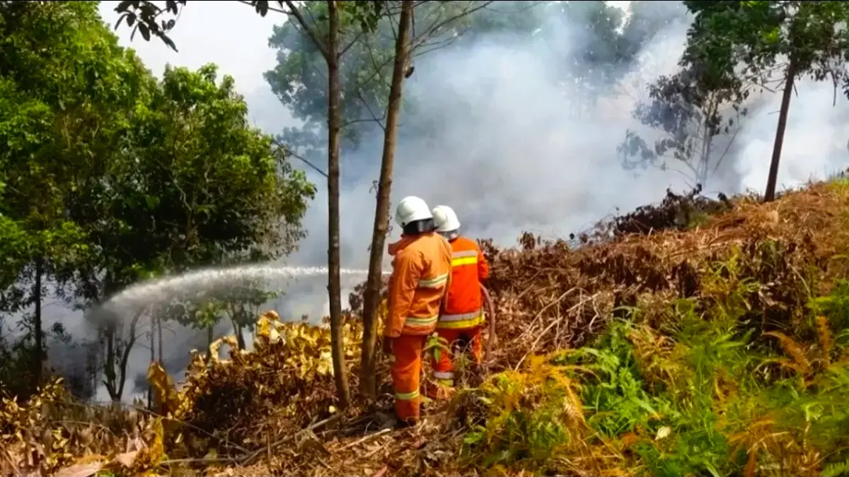 Mengantisipasi fenomena El Nino 2026 yang diprediksi lebih kering dari tahun-tahun sebelumnya, BPBD Kota Samarinda mengimbau masyarakat untuk tidak membuka lahan dengan cara dibakar serta bijak menghemat penggunaan air bersih. (DOK KALTIM POST)
