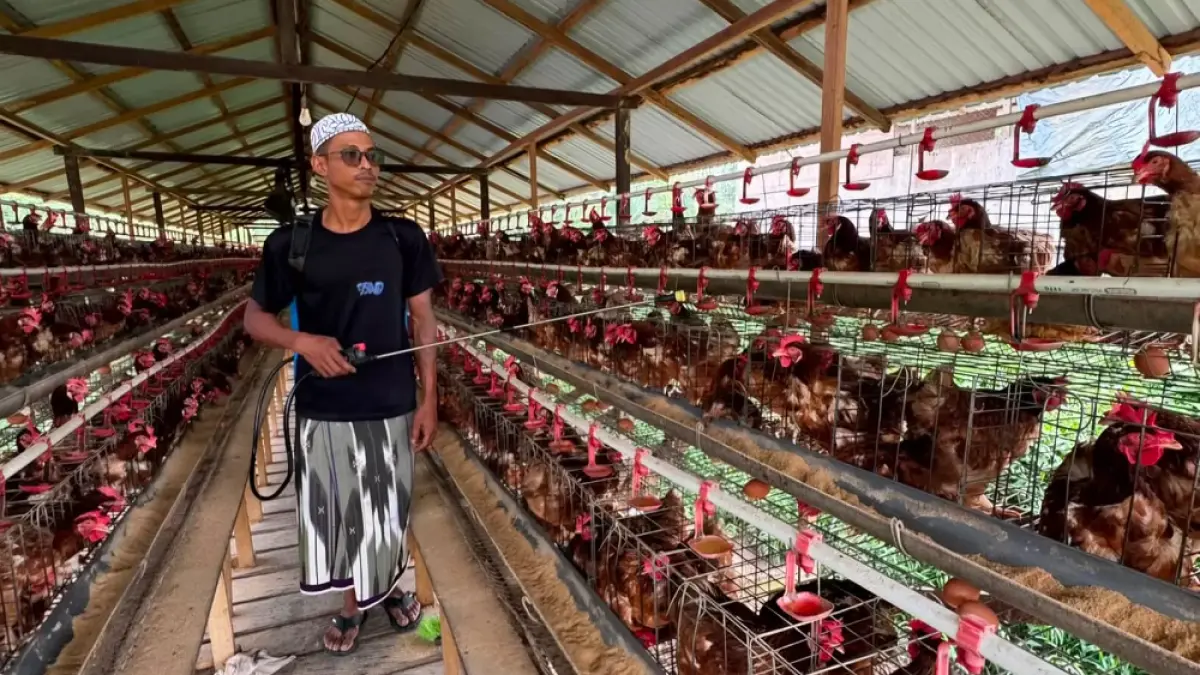 PRODUKTIF: BI Balikpapan mulai mendorong sejumlah proyek wakaf produktif. Dua di antaranya berupa pembangunan pesantren dan pengembangan peternakan ayam petelur di Balikpapan dan Paser.