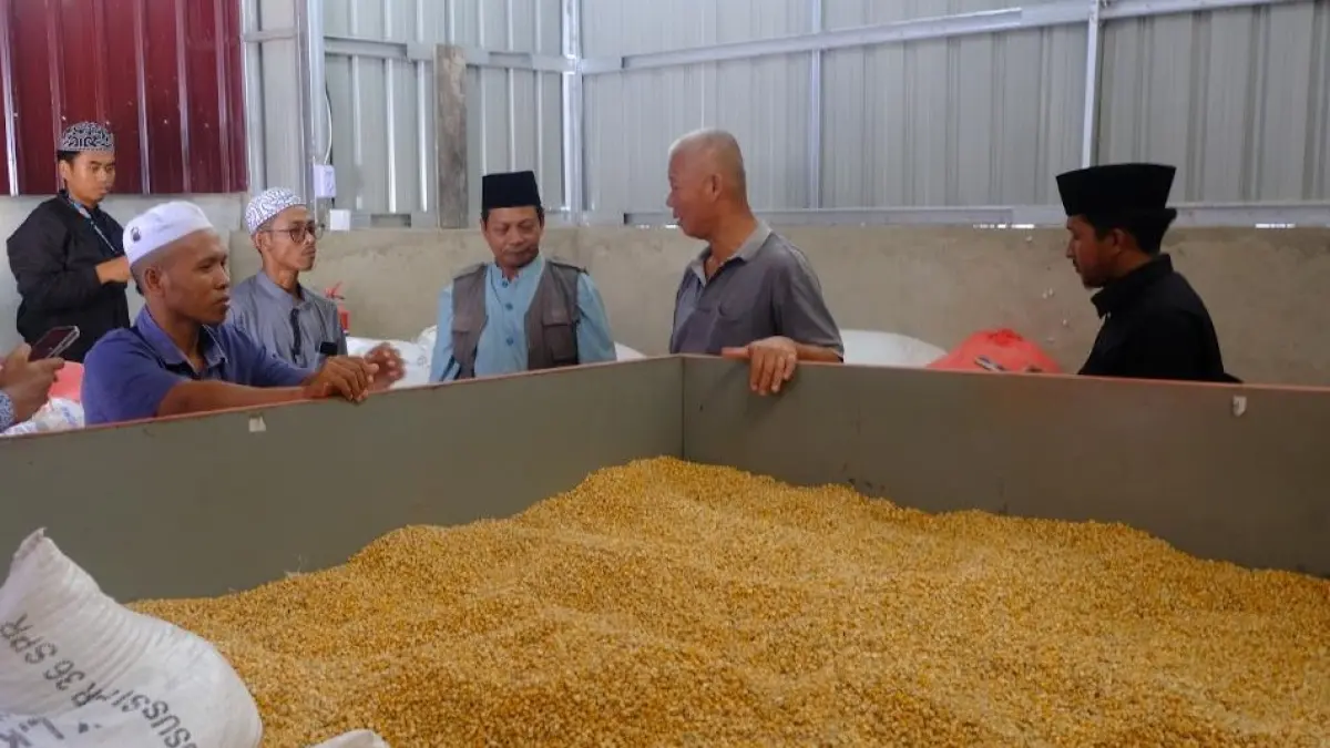 KELOLA ASET: Pondok Pesantren Syekh Muhammad Arsyad Al-Banjari Balikpapan berhasil mengembangkan peternakan ayam petelur. Tampak aktivitas santri menyiapkan pakan ayam.