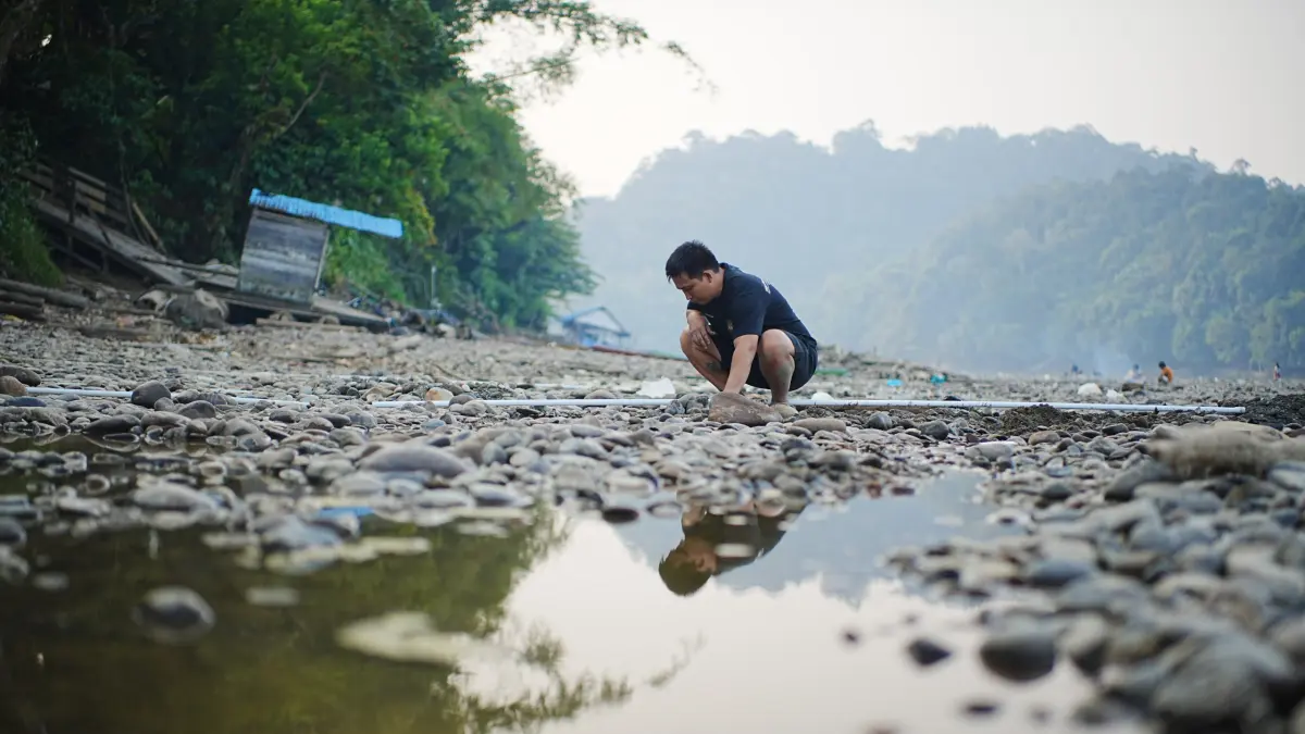 Menyusutnya debit air Sungai Mahakam imbas kemarau panjang membuat distribusi air bersih ke pemukiman warga terganggu. Warga terpaksa menggali dasar sungai guna mendapatkan air resapan alami yang tersaring pasir untuk memenuhi kebutuhan mencuci dan mandi harian. (Foto: Jody Kristiianto/KP)