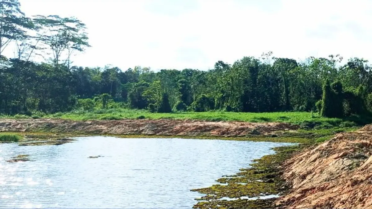 ANTISIPASI EL NINO: Waduk Manggar telah mendapat pengerukan sedimentasi dan pembersihan gulma oleh BWS Kalimantan IV. Upaya pemeliharaan bendungan utama ini difokuskan untuk mengembalikan fungsi volume tampungan air agar ketahanan air baku kota tetap terjaga.