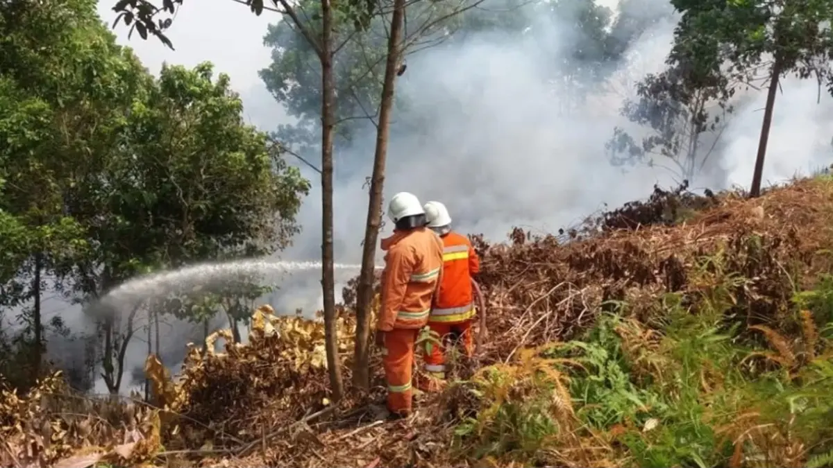 RISIKO KARHUTLA: Kondisi lahan kering yang berpotensi meningkatkan risiko kebakaran hutan dan lahan (karhutla) saat fenomena El Nino menguat. Pemerintah didorong memperkuat pencegahan dan mengubah sistem peringatan dini menjadi tindakan dini. (DOK/KP)