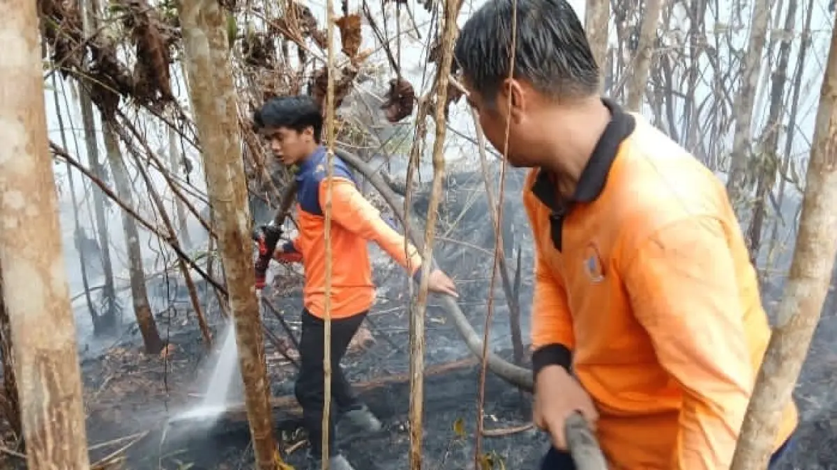 Petugas BPBD Kutai Barat berjibaku memadamkan kebakaran hutan dan lahan (karhutla) di Kampung Kelian, Kecamatan Damai, Rabu (19/8/2026).