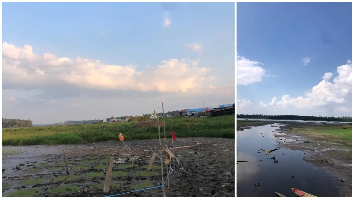 Danau Jempang di Kutai Barat mengering akibat penyusutan debit air. Dasar danau yang berlumpur kini bisa dilintasi kendaraan bermotor.