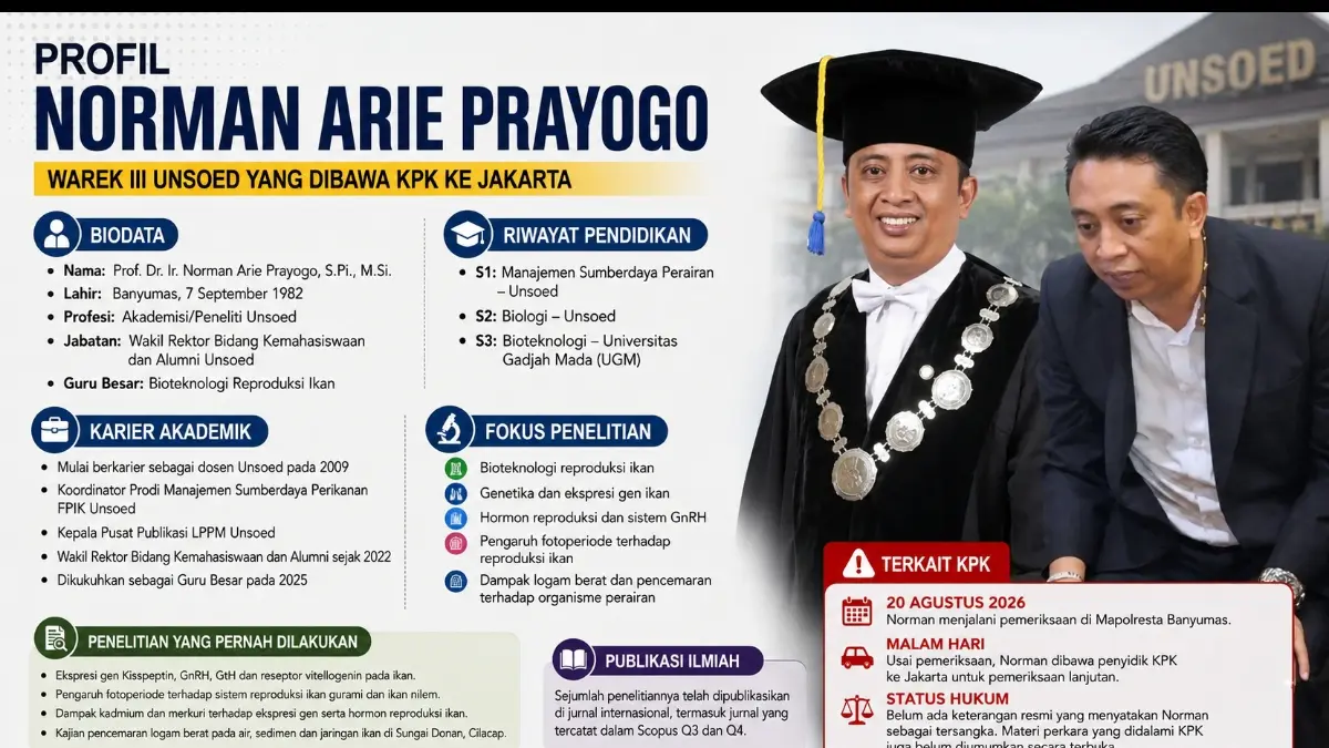 Grafis istimewa