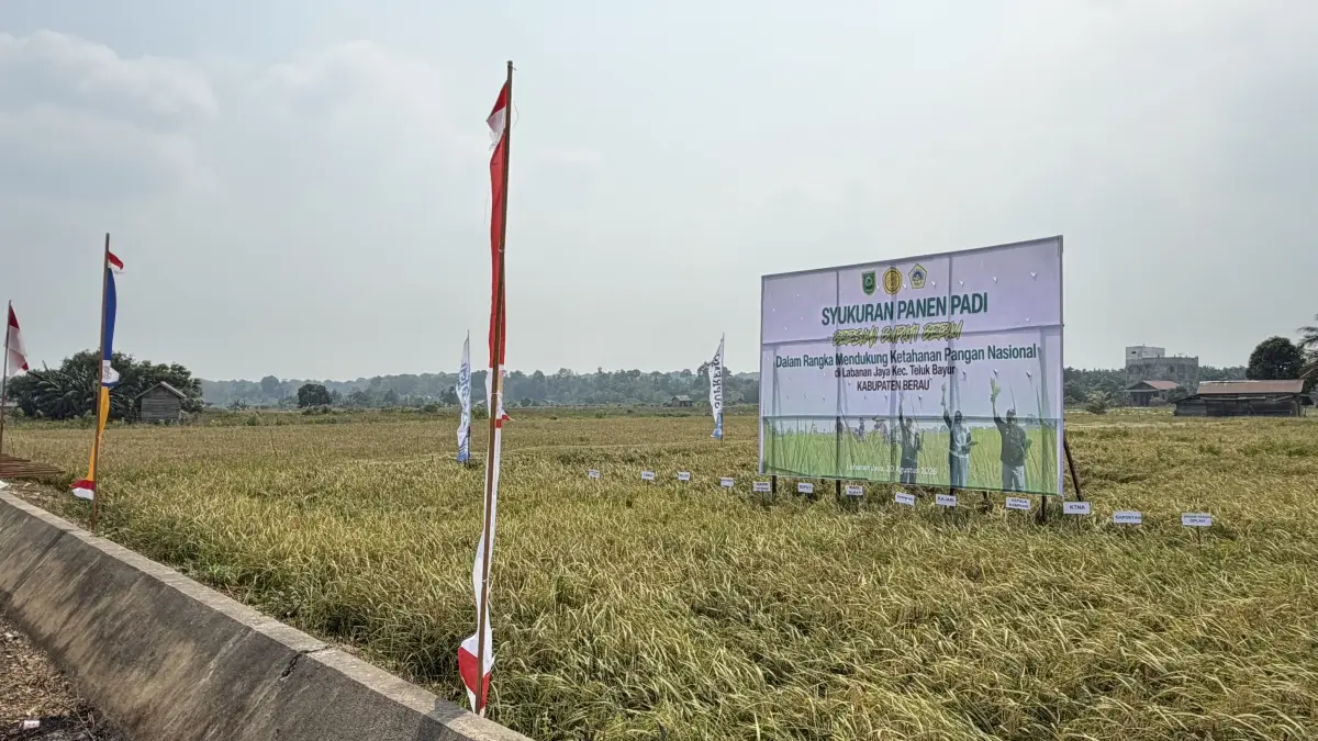 HADAPI KEMARAU: Pemkab Berau berusaha memperkuat dukungan sektor pertanian untuk membantu petani menghadapi dampak kekeringan. (ILUSTRASI-IZZA/BP)